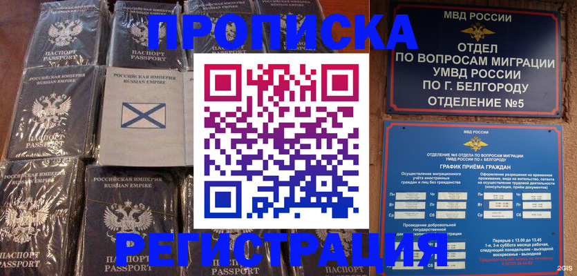 прописка гарантия в Новоалександровске